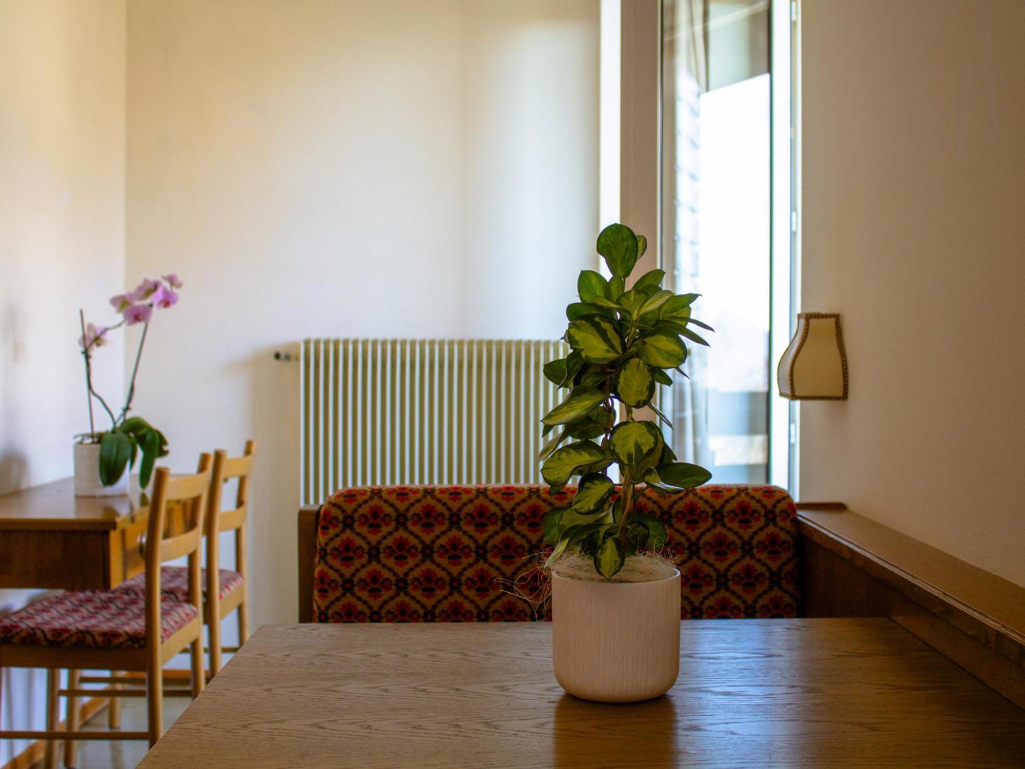 Locanda La Ruscoletta Telve Εξωτερικό φωτογραφία